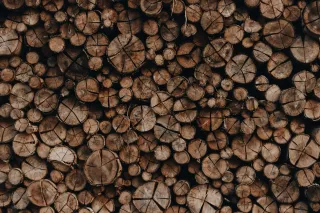 Close-up of stacked cut timber logs showing varied wood grain