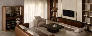 Living room with built-in TV wall, display shelving, seating and coffee table