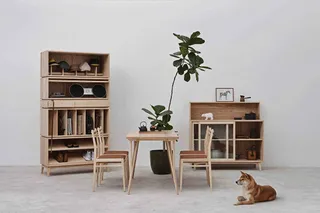 Wooden shelving, dining table, chairs and cabinets arranged in a bright room