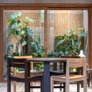 Wooden dining table and chairs in a bright plant-filled room